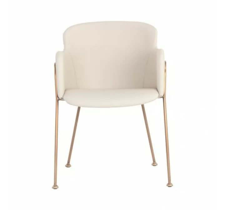 Sunpan Odesa Dining Armchair Dillon Cream - Front Angle