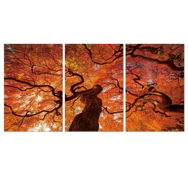 J&M Furniture Acrylic Wall Art Oak