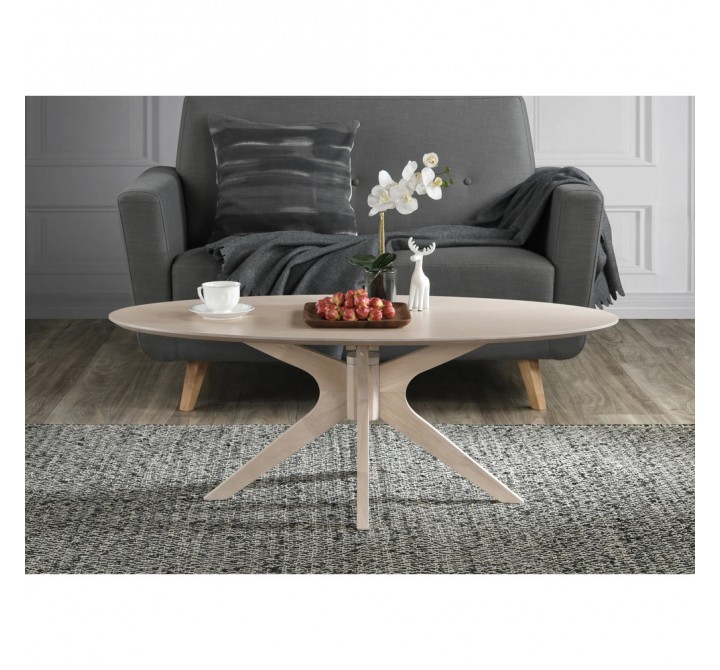 Aeon Clifford Coffee Table White Wash