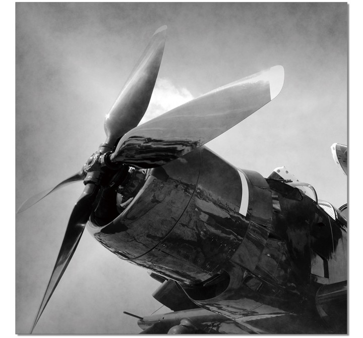 J&M Furniture Acrylic Wall Art Aircraft Rotor