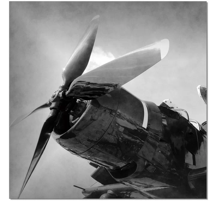 J&M Furniture Acrylic Wall Art Aircraft Rotor