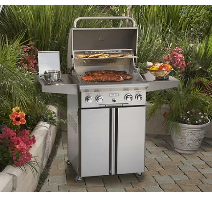 American Outdoor Grill 24" Portable Gas Grill