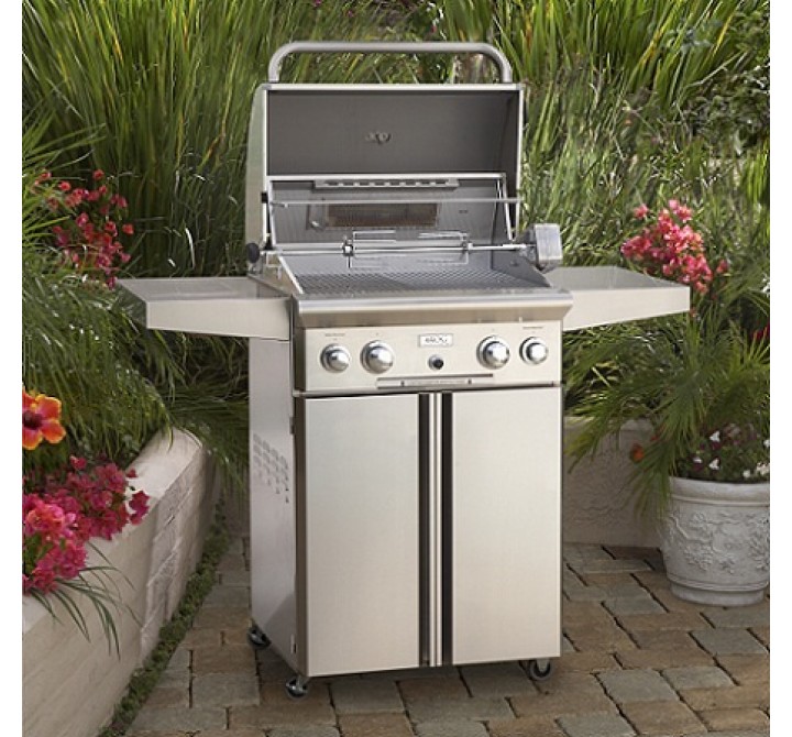 American Outdoor Grill 30" Portable Gas Grill