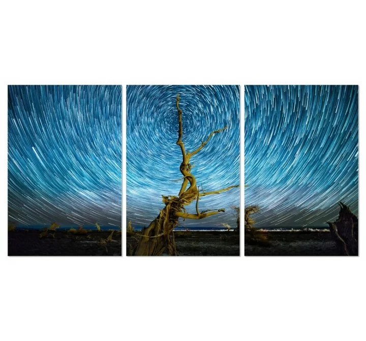 Vortex 47 X 31.5 Each Piece Acrylic Color Painting