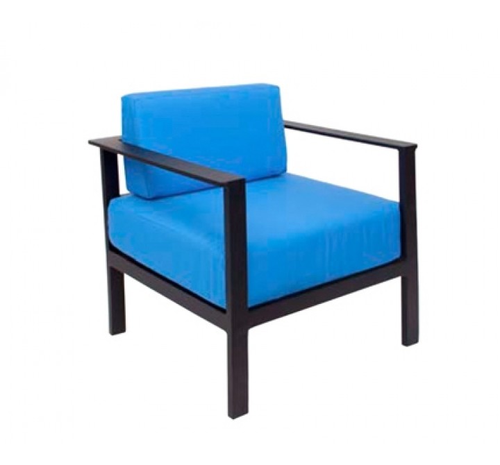 Belmar Armchair Black/Soft Gray Frame - No Cushions