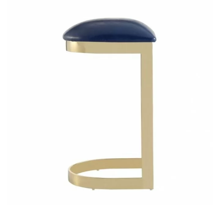 Manhattan Comfort Aura 28.54 in. Blue and Polished Brass Stainless Steel Bar Stool Side