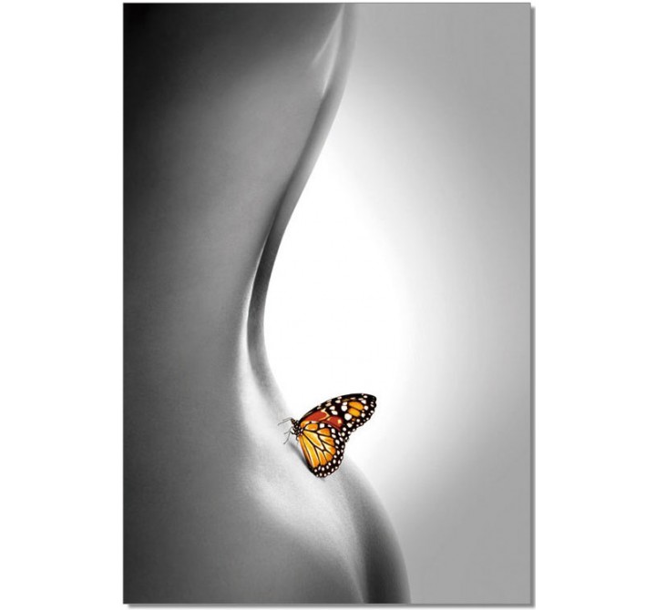 J&M Furniture Acrylic Wall Art Butterfly | SB-61336C