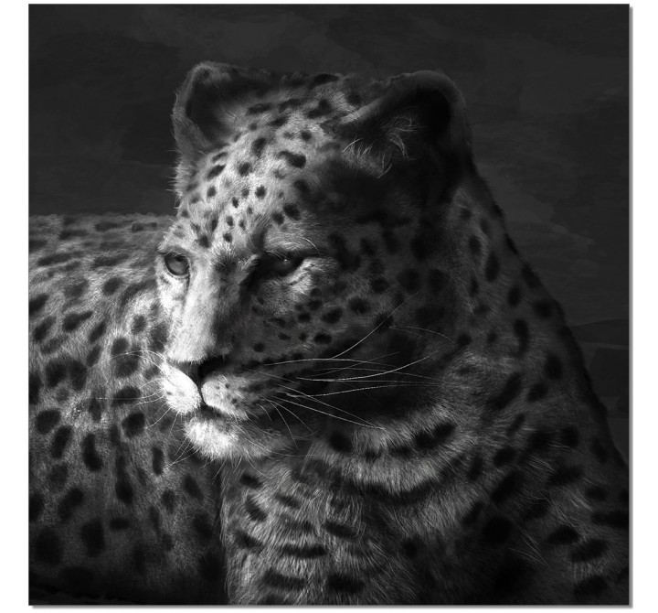 J&M Furniture Acrylic Wall Art Cheetah