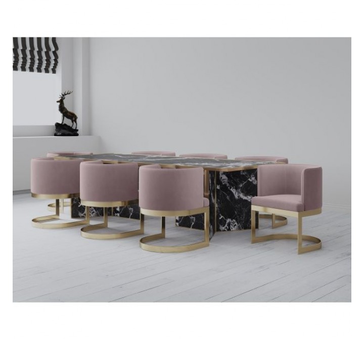 Manhattan Comfort Aura Blush and Polished Brass Velvet Dining Chair 