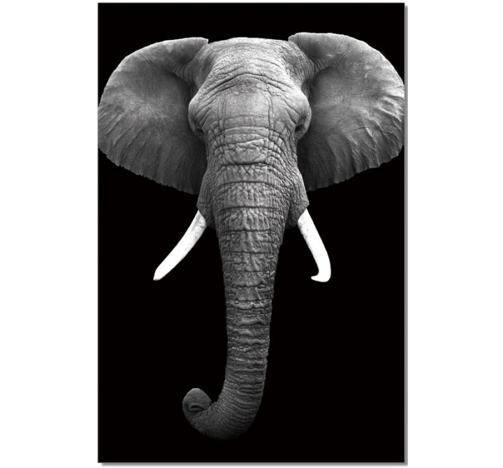 J&M Furniture Acrylic Wall Art Elephant | SB-61130 