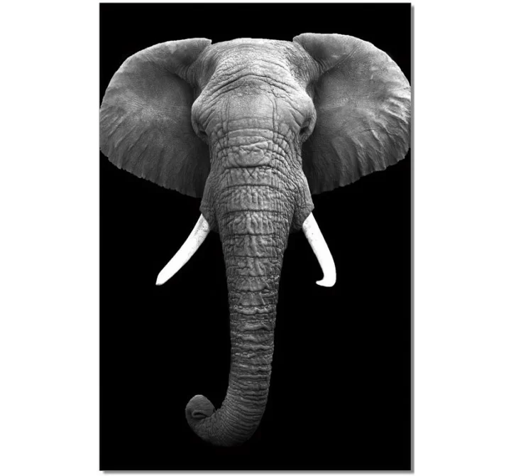 J&M Furniture Acrylic Wall Art Elephant | SB-61130 