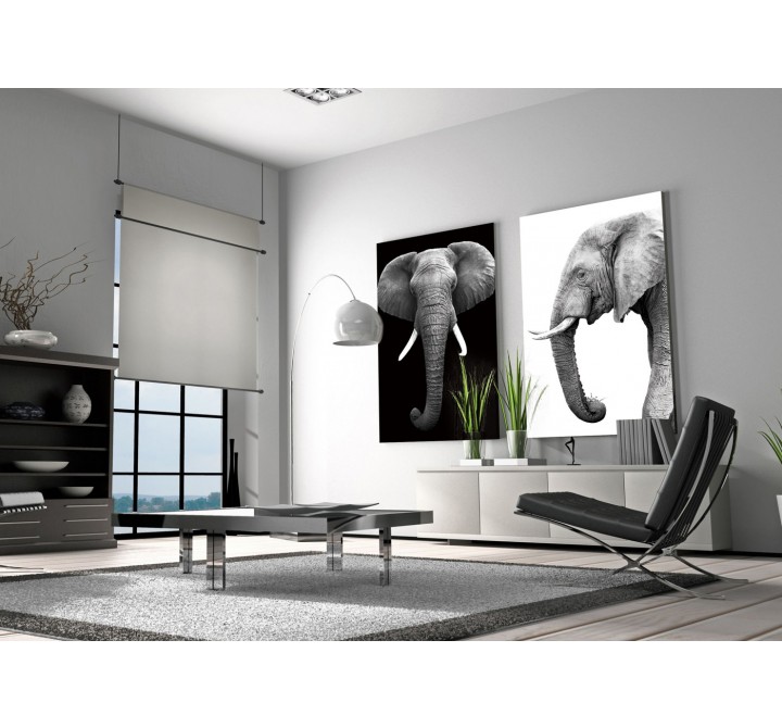 J&M Furniture Acrylic Wall Art Tusk | SB-61131 