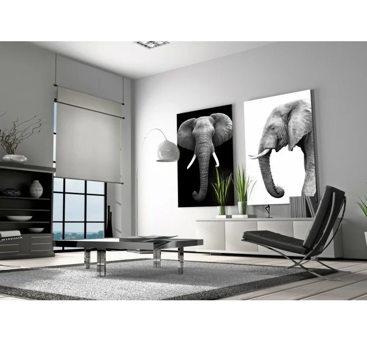 J&M Furniture Acrylic Wall Art Tusk | SB-61131 