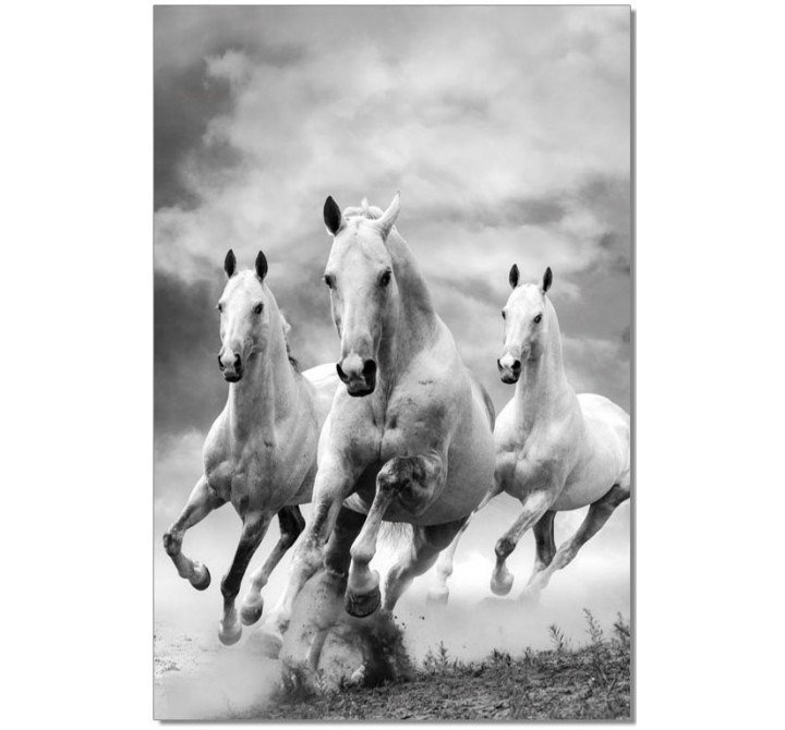 J&M Furniture Acrylic Wall Art Galloping Horses | SB-61081