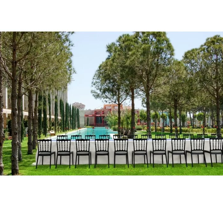 Compamia Napoleon Dining Chair - Set of 2