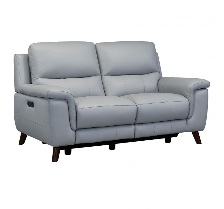 Lizette Contemporary Loveseat in Dark Brown Wood Finish and Dove Grey Genuine Leather - Angled