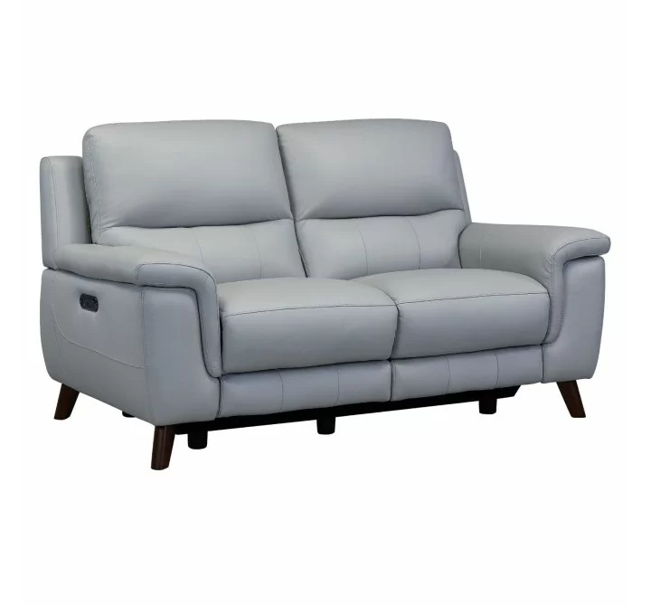 Lizette Contemporary Loveseat in Dark Brown Wood Finish and Dove Grey Genuine Leather - Angled