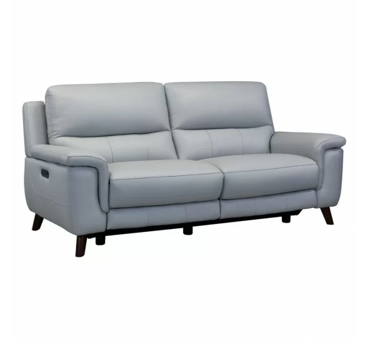 Armen Living Lizette Contemporary Sofa in Dark Brown Wood Finish and Dove Gray Genuine Leather Side