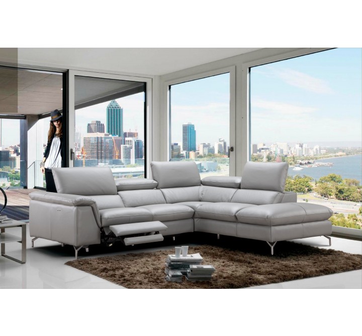 J&M Furniture Viola Premium Leather Sectional  RHFC