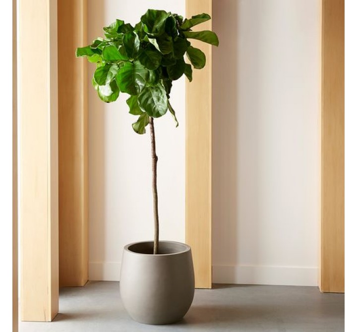 Sunpan Rosen Planter - Lifestyle