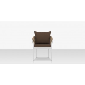 Source Furniture Vines Dining Arm Chair Tan Front