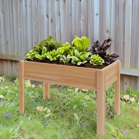 All Things Cedar 4-ft x 2-ft Raised Garden Box on Legs - Lifestyle