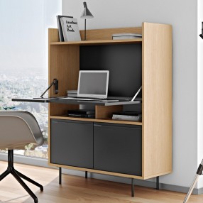TemaHome Lime Desk in Oak & Pure Black - Lifestyle