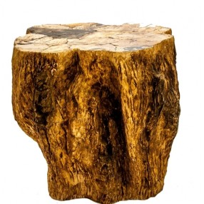 Stilnovo Good Form Petrified Wood Side Table (oggetti)