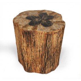 Stilnovo Good Form Tree Trunk Side Table with Petrified Wood Inlay