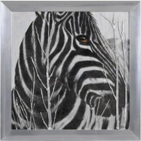 Ren-Wil Burchell's Zebra