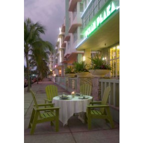 POLYWOOD¨ South Beach Dining Chair