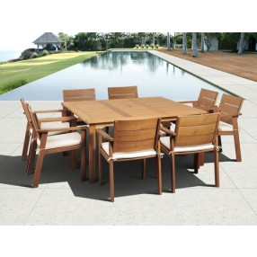 International Home Miami Amazonia Nelson Eucalyptus 9 piece Square Patio Dining Set