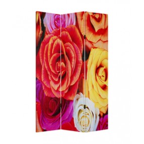 Screen Gems Daisy and Rose Screen