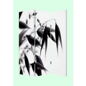 Screen Gems Lily Screen