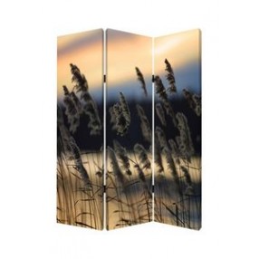 Screen Gems Whisper Reed Screen