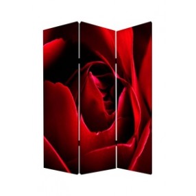 Screen Gems Rose Screen