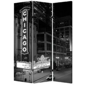 Screen Gems Chicago Screen