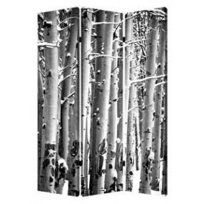 Screen Gems Birch Screen