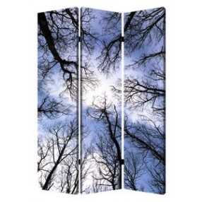 Screen Gems Forest Screen