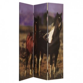 Screen Gems Thoroughbred Screen