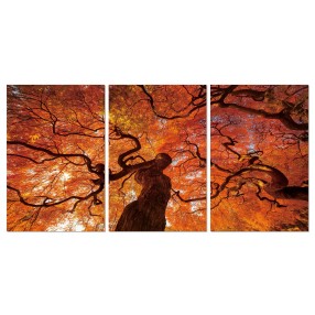 J&M Furniture Acrylic Wall Art Oak