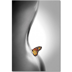 J&M Furniture Acrylic Wall Art Butterfly | SB-61336C