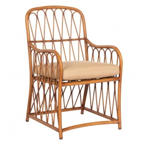 Woodard Cane Dining Armchair - Angled