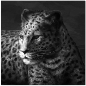 J&M Furniture Acrylic Wall Art Cheetah