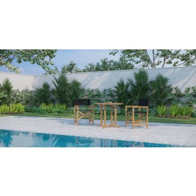 Hi Teak Furniture Direceur Teak Folding Outdoor Dining Armchair in Black - Lifestyle