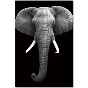 J&M Furniture Acrylic Wall Art Elephant | SB-61130 