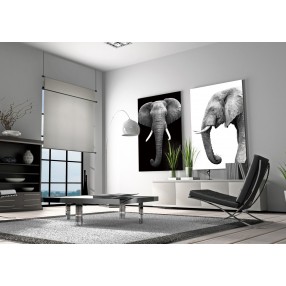 J&M Furniture Acrylic Wall Art Tusk | SB-61131 