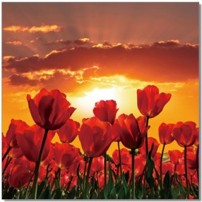 J&M Furniture Acrylic Wall Art Flowers in Bloom | SC-9778