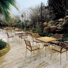 Compamia Bella Resin Dining Arm Chair - Set of 4