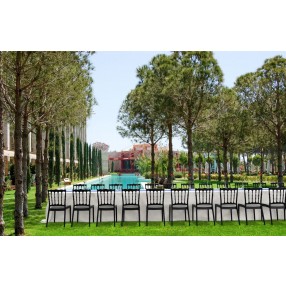 Compamia Napoleon Dining Chair - Set of 2
